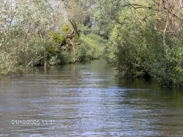 delta rosu 2005 - im000666.jpg